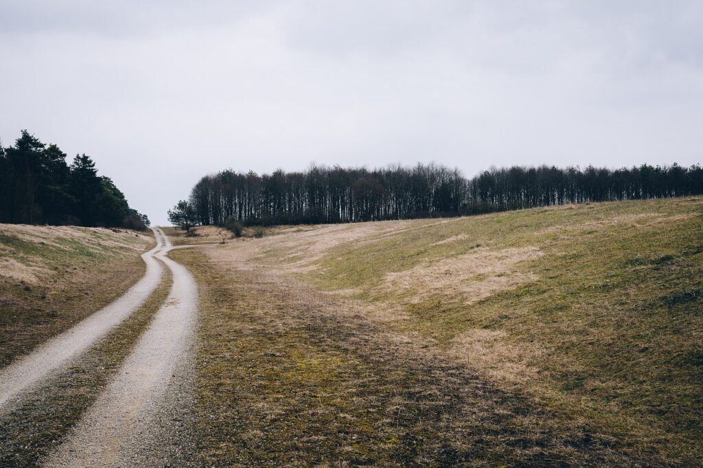 clouds, dirt road, grass